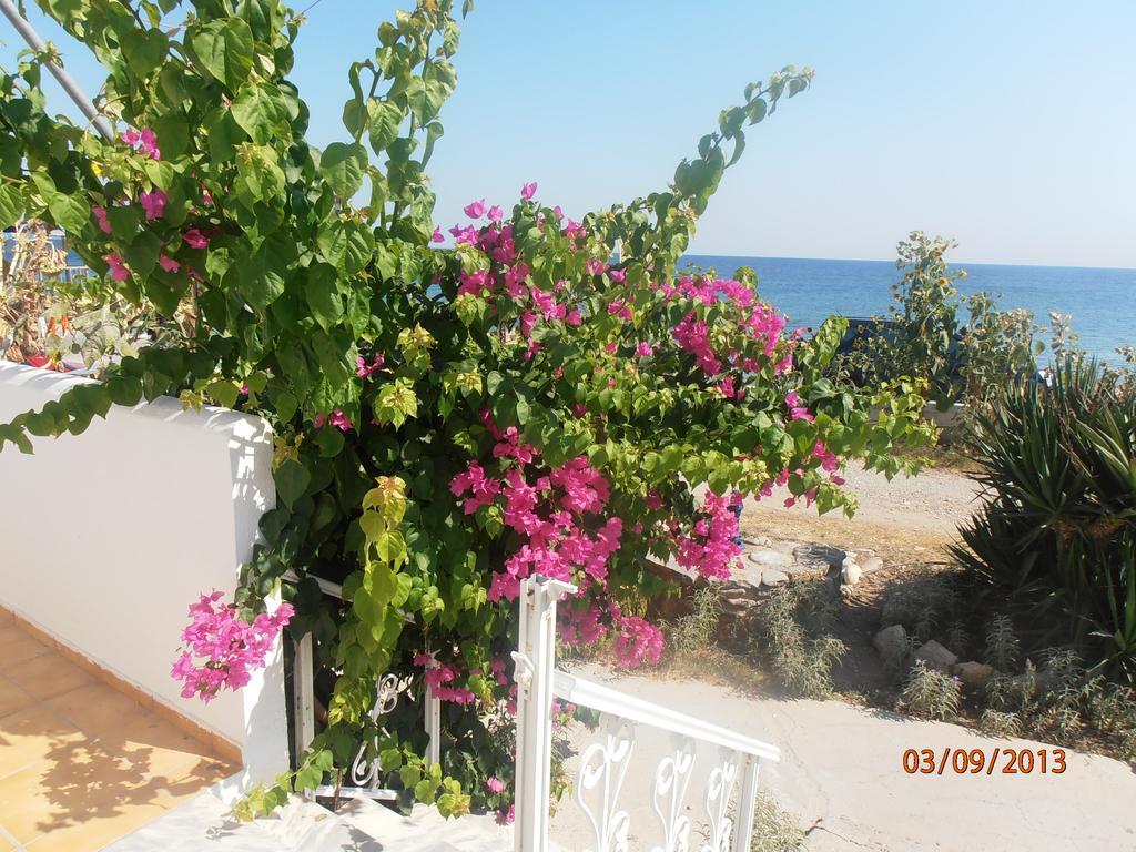 Iro Apartments Paralia Agias Foteinis ภายนอก รูปภาพ